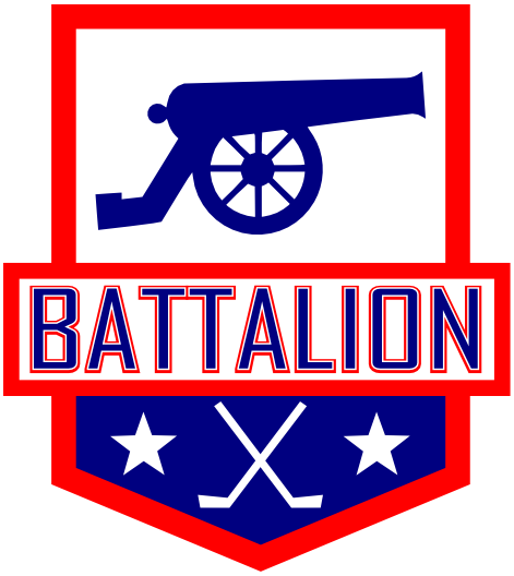 Berkshire Battalion 2014-Pres Primary Logo iron on heat transfer